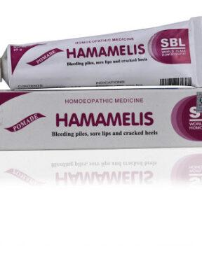 SBL Hamamelis Ointment (25g)