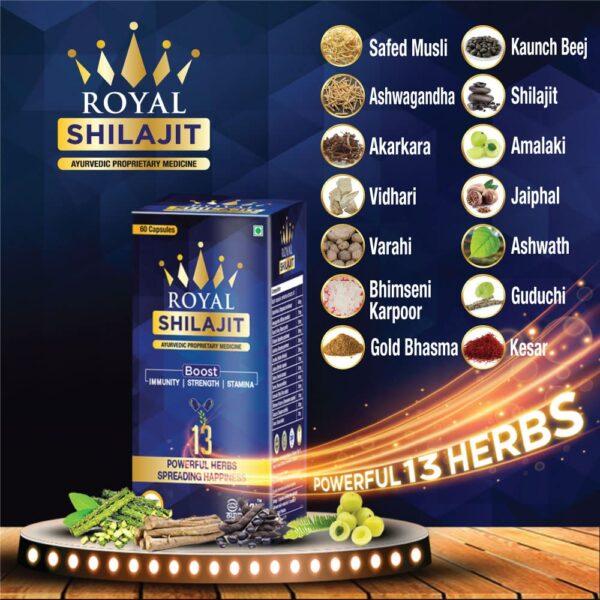 Max Ayurveda Royal Shilajit - 60 Capsules - Image 3