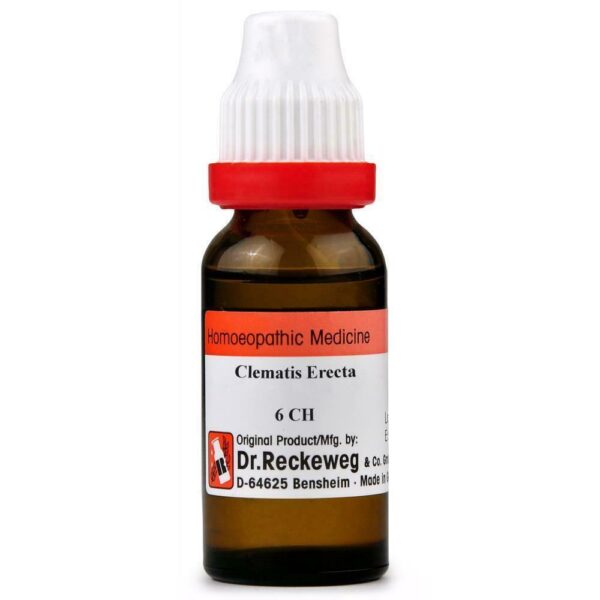 Dr Reckeweg Clematis Erecta Dilution 11ml