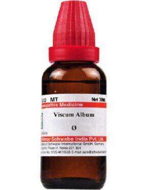 Dr Willmar Schwabe India Viscum album Mother Tincture 1X (Q) (30ml)