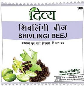 Patanjali Divya Shivlingi Beej 100 gm