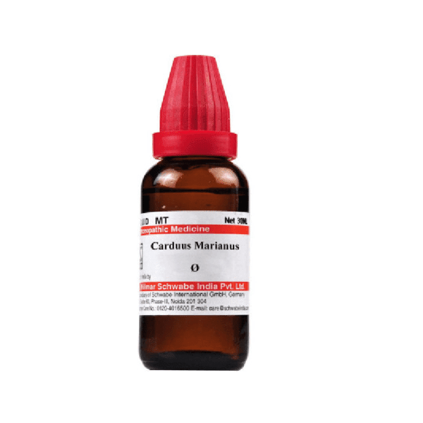 Dr Willmar Schwabe Homeopathic India Carduus Marianus 1X (Q) (30ml)