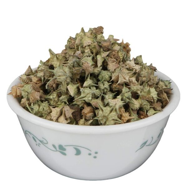 ORGANIC Gokhru Small