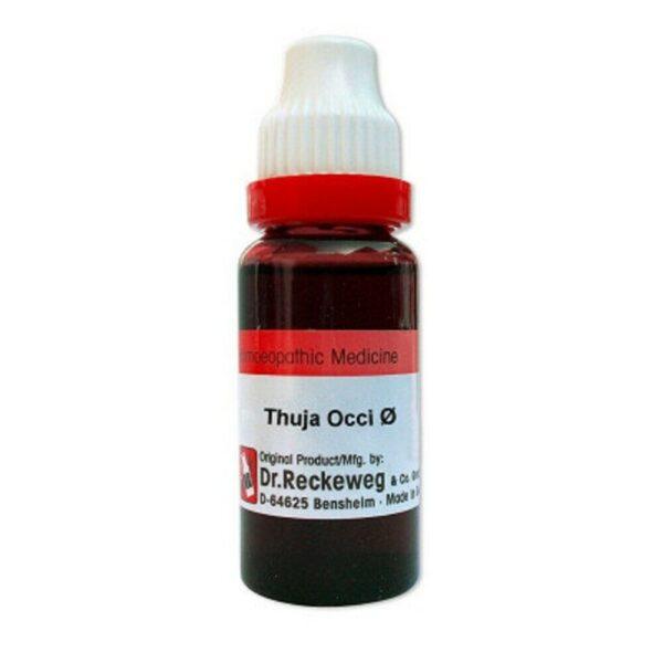 Dr. Reckeweg Thuja Occidentalis Mother Tincture 1X (Q) (20ml)